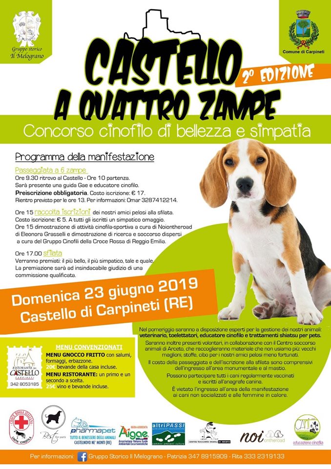 castello a 4 zampe bis