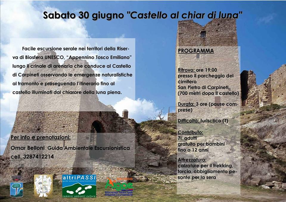 castello al chiar di luna
