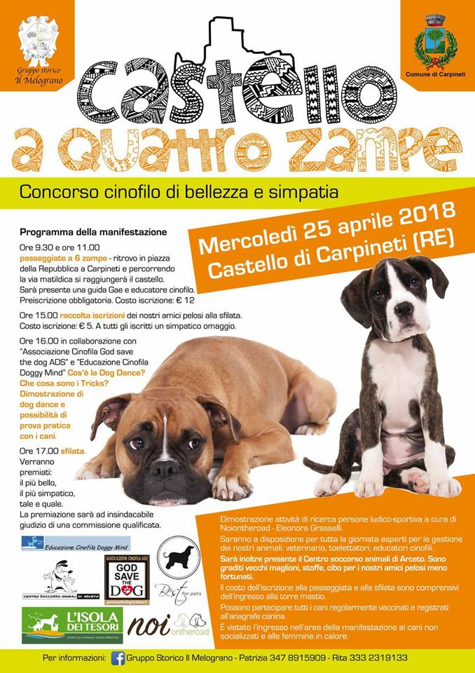 il castello a 4zampe
